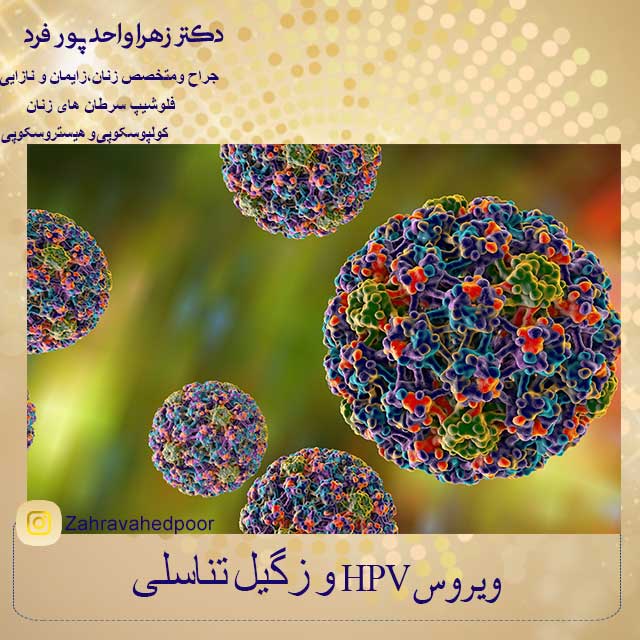 زگیل-تناسلی