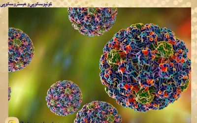 همه چیز در مورد HPV و زگیل تناسلی